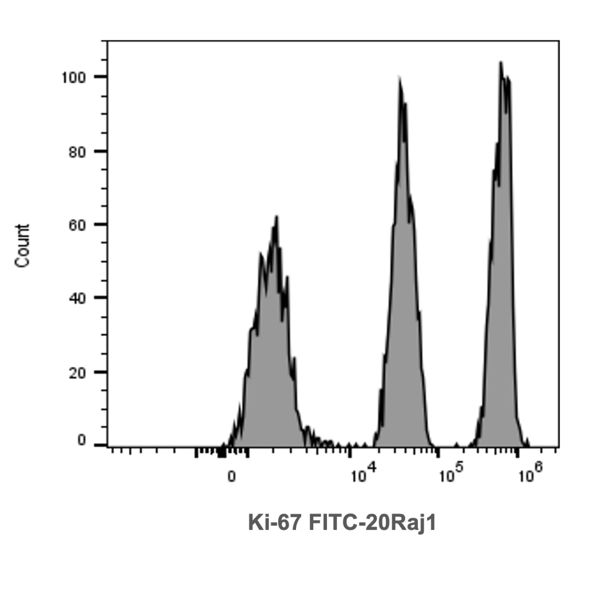 ki67 multilevel